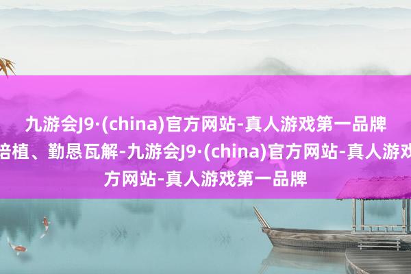 九游会J9·(china)官方网站-真人游戏第一品牌大林埋头培植、勤恳瓦解-九游会J9·(china)官方网站-真人游戏第一品牌