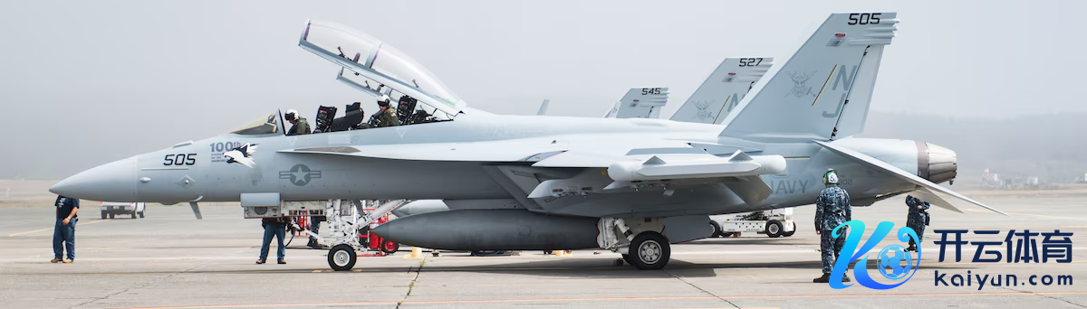 EA-18G“怒吼者”电子战飞机 辛劳图 图源：好意思媒