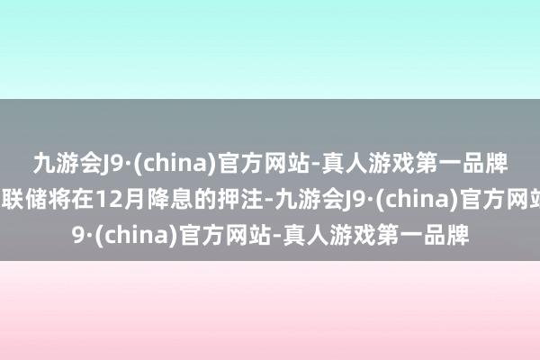 九游会J9·(china)官方网站-真人游戏第一品牌进一步支合手好意思联储将在12月降息的押注-九游会J9·(china)官方网站-真人游戏第一品牌