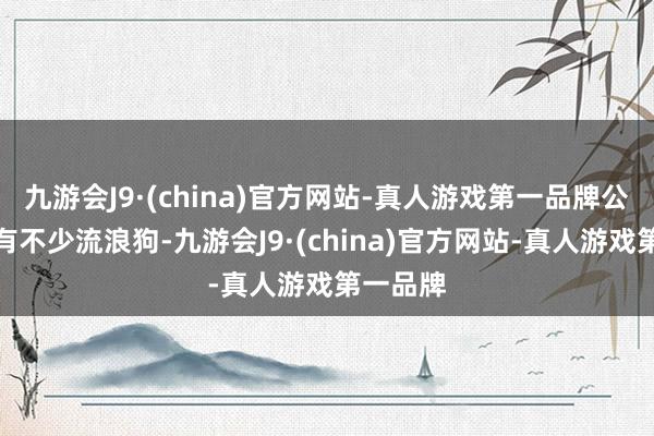 九游会J9·(china)官方网站-真人游戏第一品牌公司阁下有不少流浪狗-九游会J9·(china)官方网站-真人游戏第一品牌