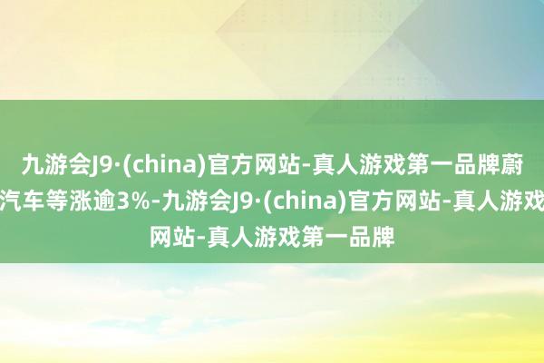 九游会J9·(china)官方网站-真人游戏第一品牌蔚来、理思汽车等涨逾3%-九游会J9·(china)官方网站-真人游戏第一品牌