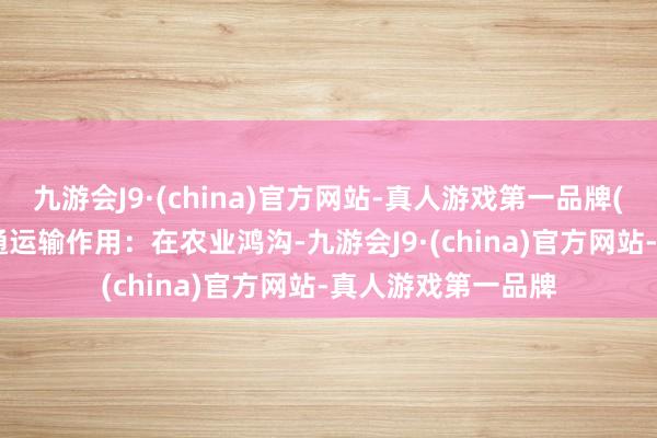 九游会J9·(china)官方网站-真人游戏第一品牌(2) 农业鸿沟的交通运输作用：在农业鸿沟-九游会J9·(china)官方网站-真人游戏第一品牌