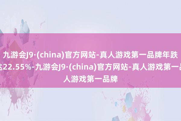 九游会J9·(china)官方网站-真人游戏第一品牌年跌幅达22.55%-九游会J9·(china)官方网站-真人游戏第一品牌